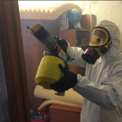 Уничтожение клопов в квартире. Вышний Волочек
